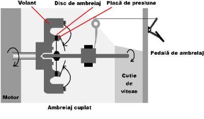 legislatie